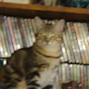 Meet your Posher, Krista